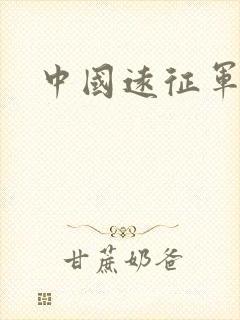 中国远征军小说封面