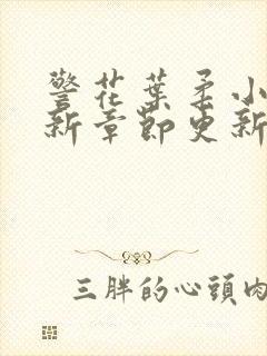 警花叶柔小说最新章节更新