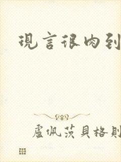 现言很肉到处做