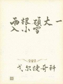 两根硕大一起挤入小雪