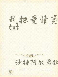 我把爱情煲成汤txt