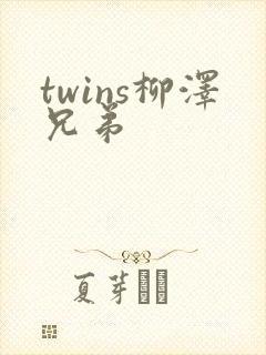 twins柳泽兄弟