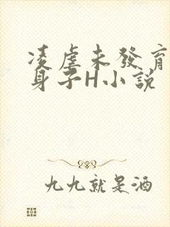 凌虐未发育的小身子H小说