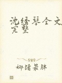 沈绣琴全文阅读完整封面