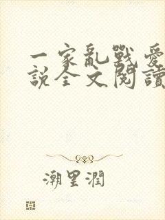 一家乱战爱莲小说全文阅读