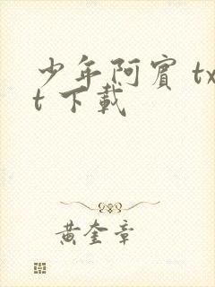 少年阿宾 txt 下载封面