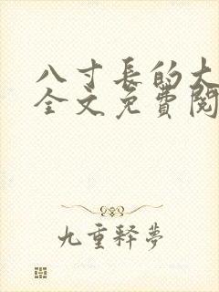 八寸长的大宝贝全文免费阅读