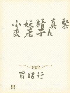 小妖精真紧h嘶爽老子h封面