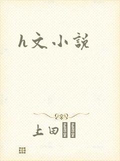 h文小说