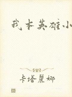 我本英雄小说