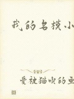 我的名模小娇妻封面