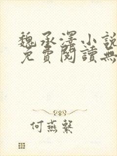 魏承泽小说全文免费阅读无弹窗笔趣