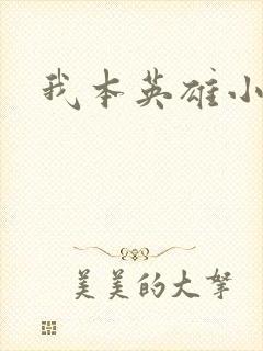 我本英雄小说
