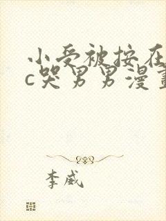 小受被按在墙上c哭男男漫画封面