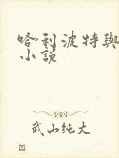 哈利波特与密室小说封面