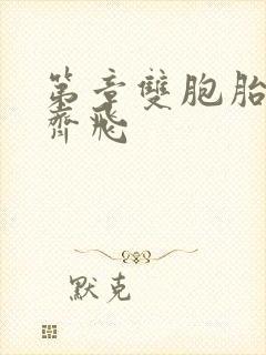 第章双胞胎姐妹齐飞