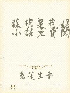 苏玥是我媳妇的小说免费阅读全文