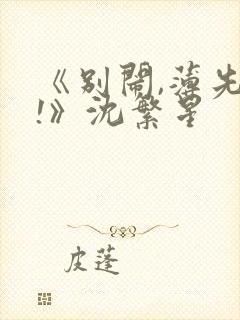 《别闹,薄先生!》沈繁星封面