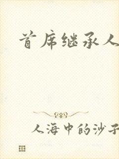 首席继承人封面