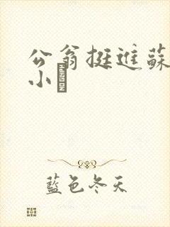 公翁挺进苏玥的小泬