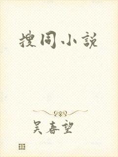 搜同小说