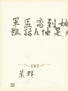 军区脔到她哭h粗话h他是疯批