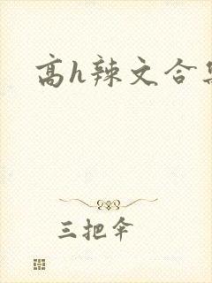 高h辣文合集封面