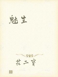 魅生封面