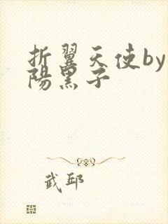 折翼天使by太阳黑子封面