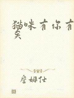 猫咪有你有我足矣