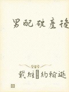 男配破产后封面