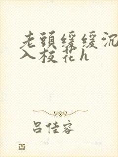 老头缓缓沉腰进入校花h