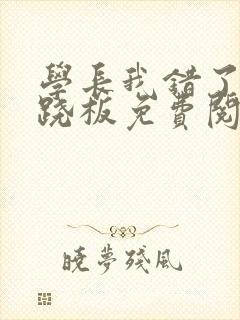 学长我错了 跷跷板免费阅读