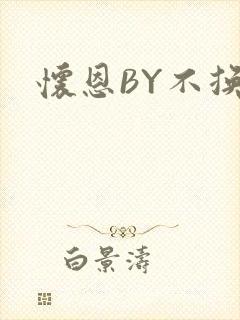 怀恩BY不换