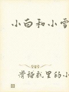 小白和小雪
