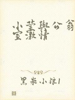 小莹与公翁办公室激情