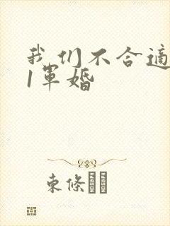 我们不合适1v1军婚