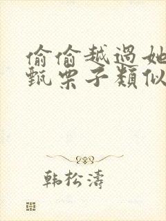 偷偷越过她by甄栗子类似小说封面