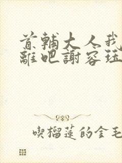 首辅大人我们和离吧谢容珏