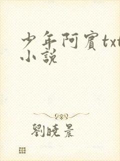 少年阿宾txt小说封面