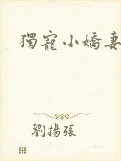 独宠小娇妻封面