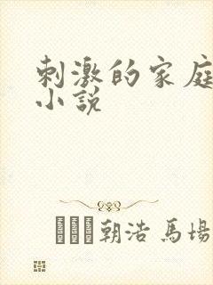 刺激的家庭乱仑小说