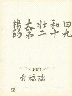 杨大壮和田桂花的第二十九封面