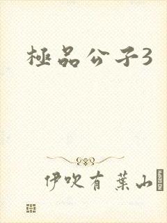 极品公子3