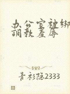 办公室被绑奶头调教羞辱