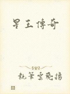 星王传奇