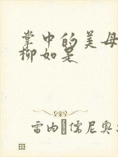 掌中的美母版主柳如是