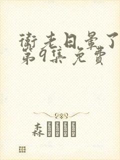 卫老日晕了淑蓉第9集免费