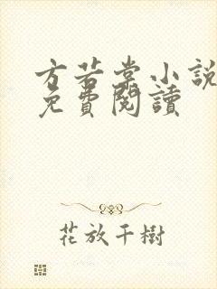 方若棠小说全文免费阅读