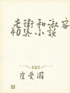 老卫和淑容1-40集小说